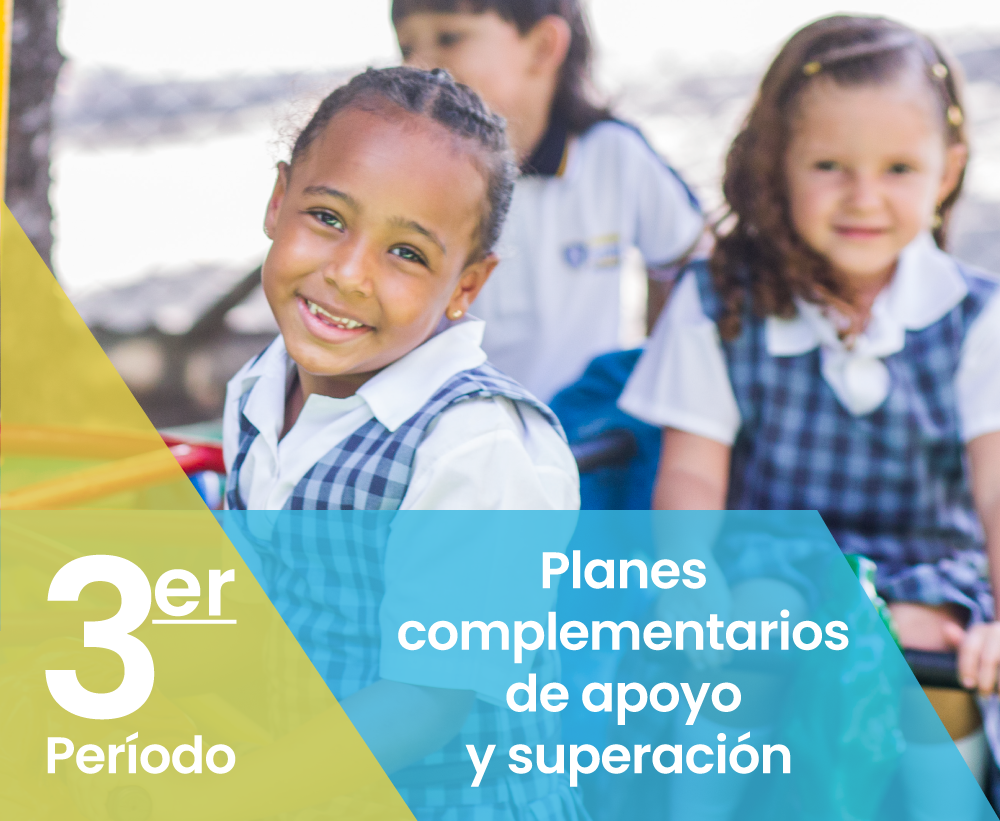 Planes Complementarios de Apoyo y Superación Colegio Ferrini Bilingüe 3