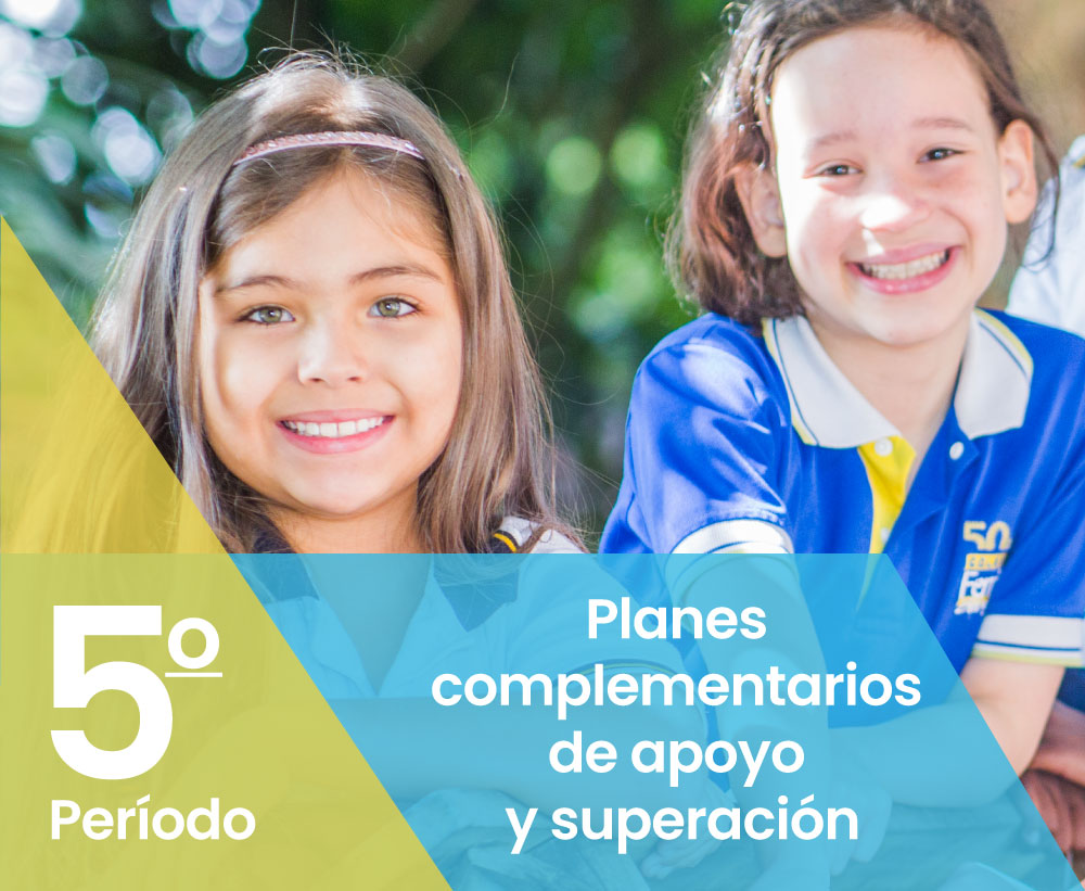 Planes Complementarios de Apoyo y Superación Colegio Ferrini Bilingüe 5